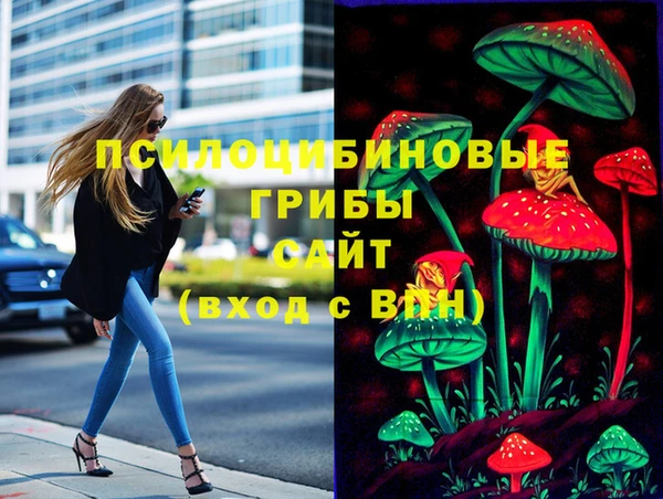 шишки Волосово