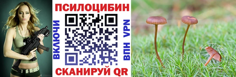 Псилоцибиновые грибы прущие грибы  цена наркотик  Петров Вал 