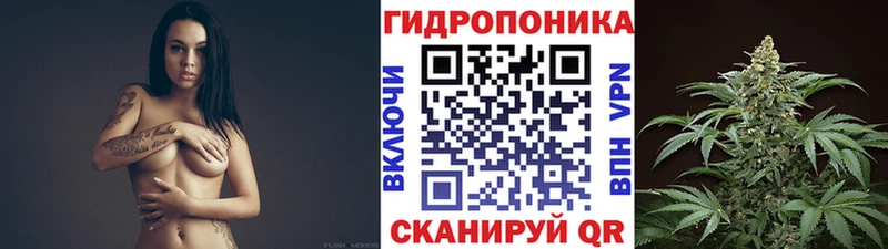 Канабис конопля  MEGA ССЫЛКА  Петров Вал 